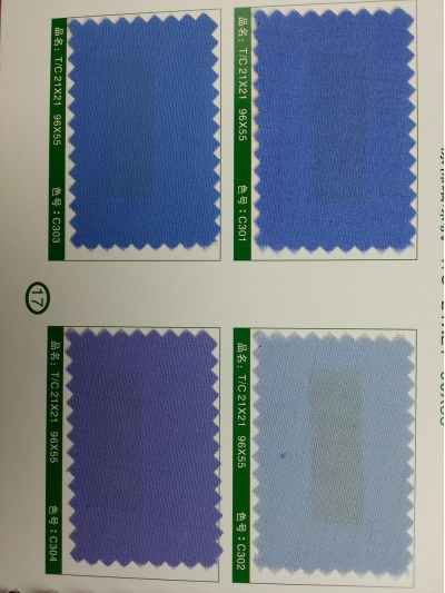 SD-DGYE   滌棉細珠帆  T/C  21*21   96*55 側面照